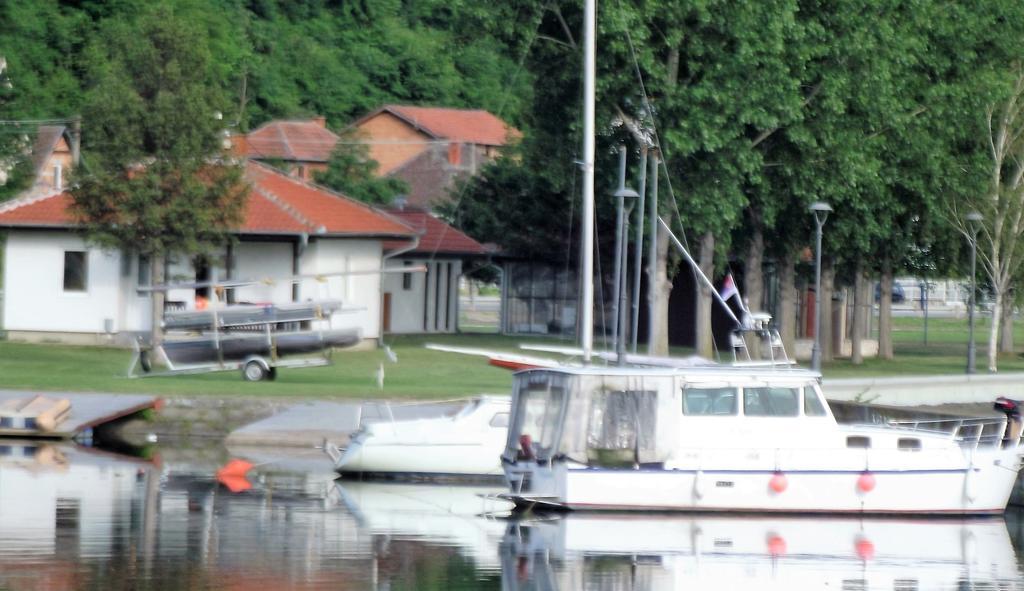 Apartamento Zlatna Ribica Golubac Exterior foto